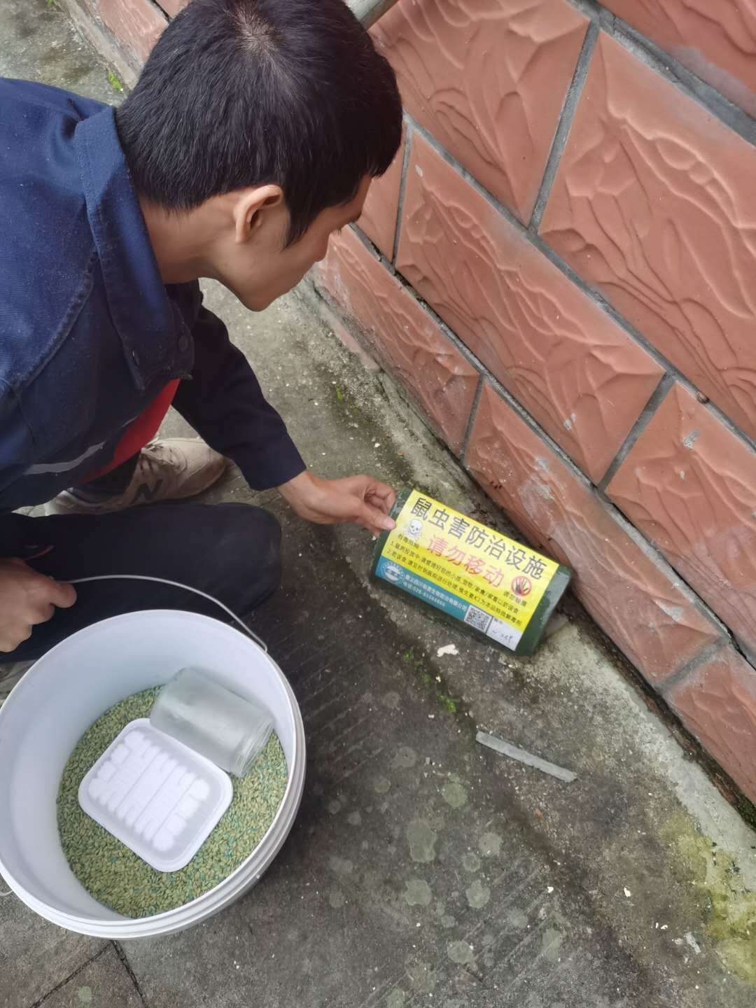 雅安除四害